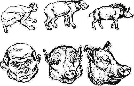 Тайна многоруких богов - i_075.png