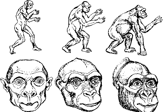 Тайна многоруких богов - i_076.png