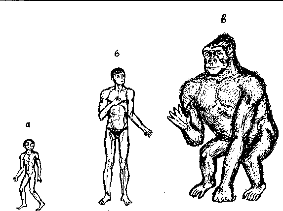 Тайна многоруких богов - i_077.png