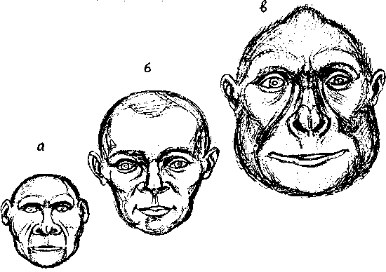 Тайна многоруких богов - i_078.png