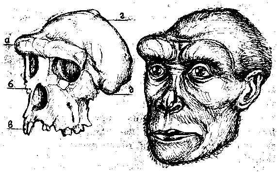 Тайна многоруких богов - i_079.png