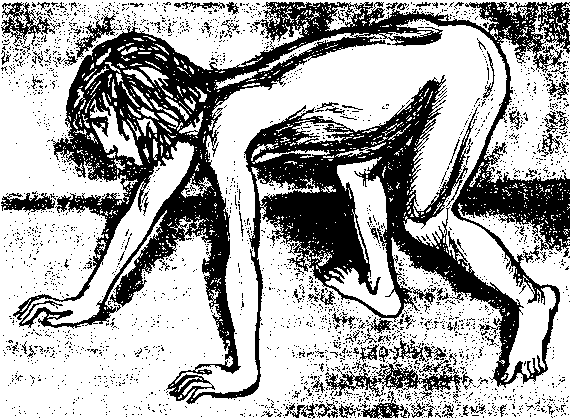 Тайна многоруких богов - i_080.png