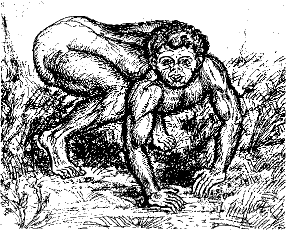 Тайна многоруких богов - i_081.png