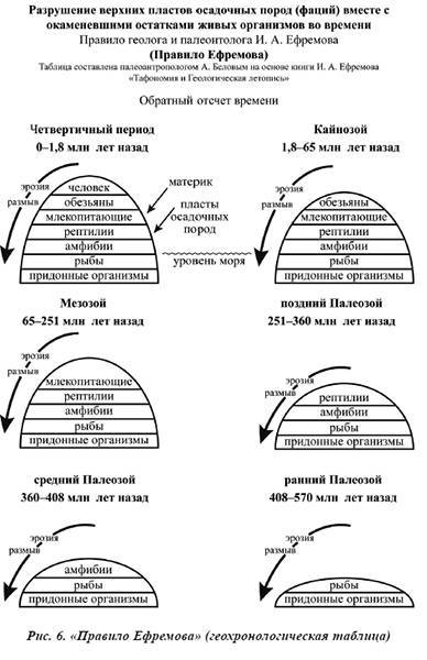 Тайная родословная человека. Загадка превращения людей в животных - i_006.jpg