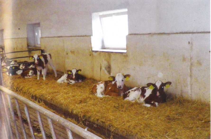 Городим огород в ладу с природой - img_14.jpeg