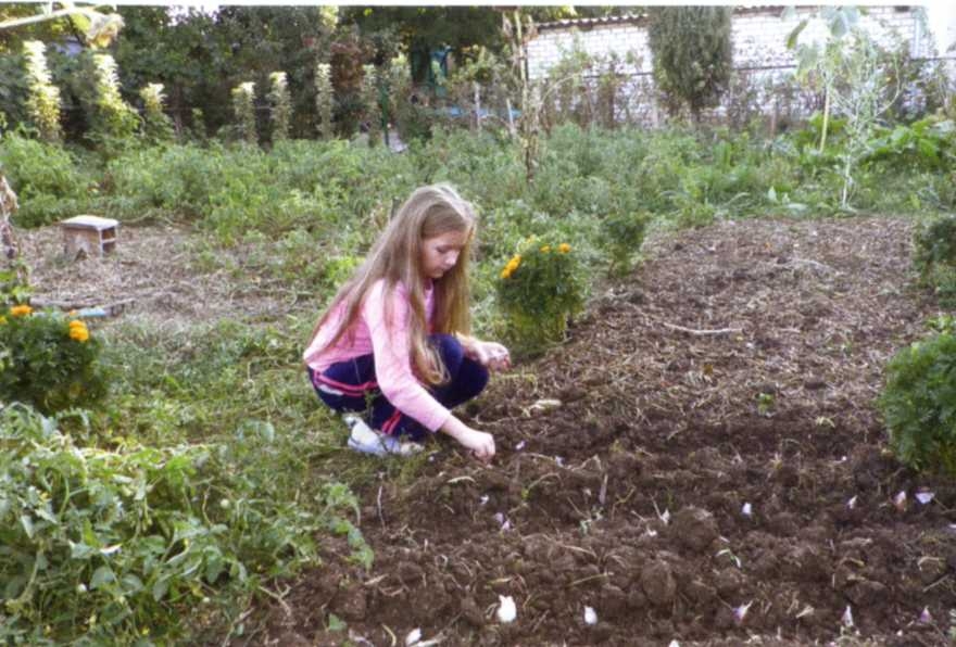 Городим огород в ладу с природой - img_20.jpeg