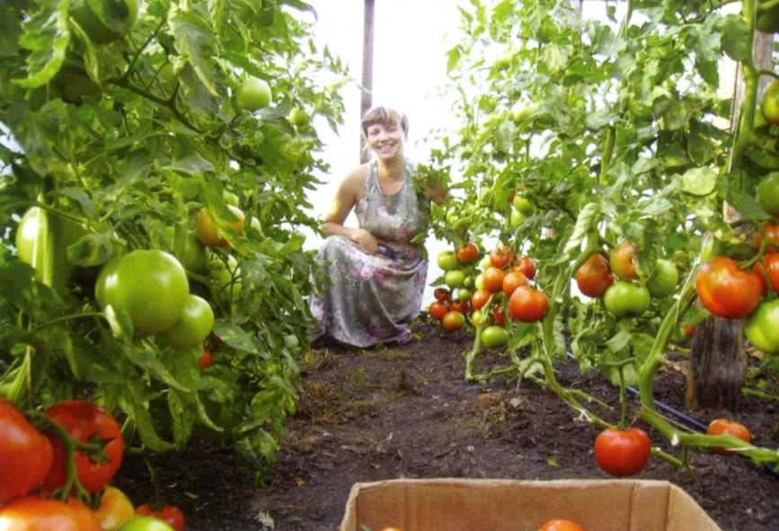 Городим огород в ладу с природой - img_8.jpeg