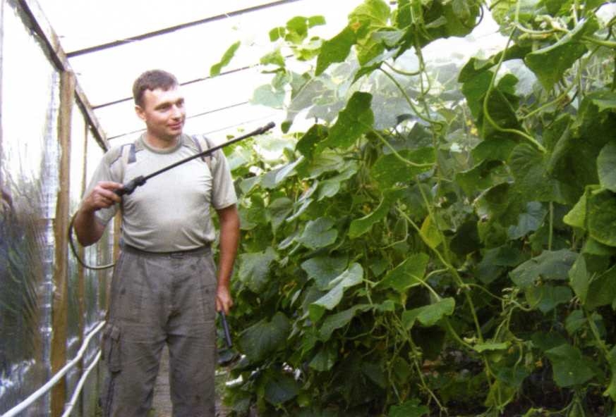 Городим огород в ладу с природой - img_9.jpeg