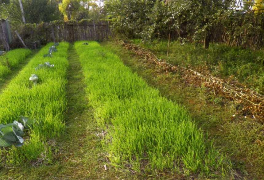 Городим огород в ладу с природой - img_29.jpeg