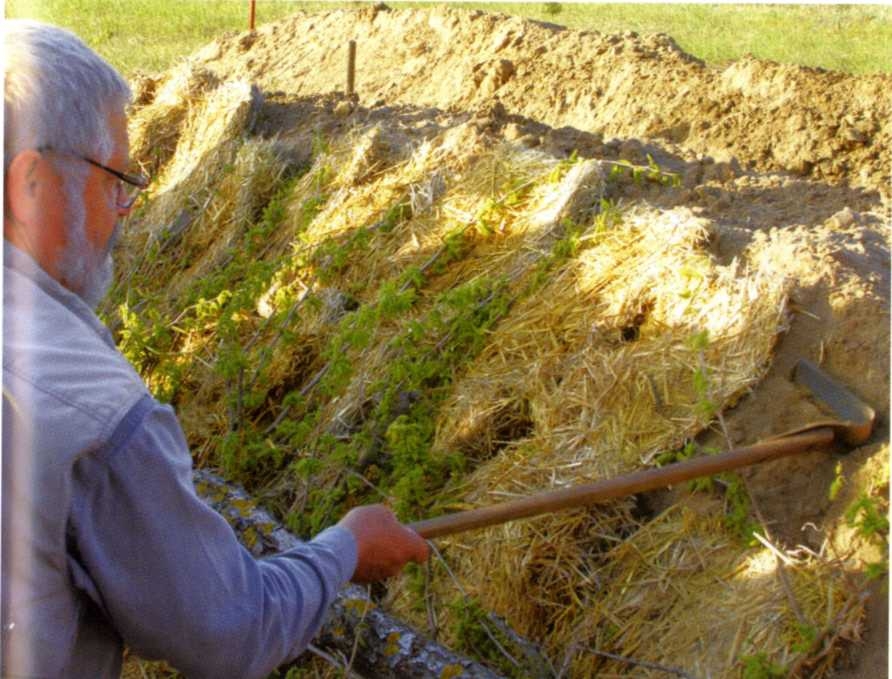 Городим огород в ладу с природой - img_47.jpeg