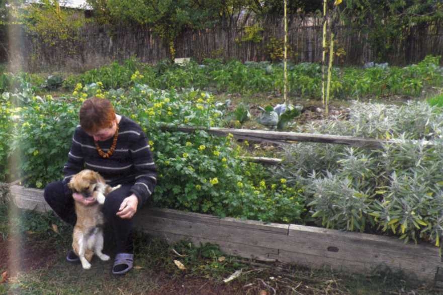 Умный огород круглый год - img_17.jpeg