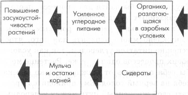 Умный огород круглый год - img_3.jpeg