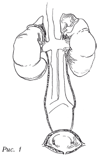 Болезни почек. Самые эффективные методы лечения - i_001.png