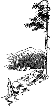 Генри Лонгфелло. Песнь о Гайавате. Уолт Уитмен. Стихотворения и поэмы. Эмили Дикинсон. Стихотворения. - i_007.jpg