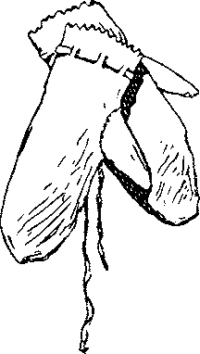 Генри Лонгфелло. Песнь о Гайавате. Уолт Уитмен. Стихотворения и поэмы. Эмили Дикинсон. Стихотворения. - i_056.jpg