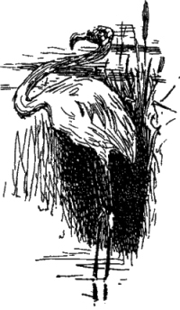 Генри Лонгфелло. Песнь о Гайавате. Уолт Уитмен. Стихотворения и поэмы. Эмили Дикинсон. Стихотворения. - i_060.jpg