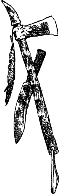 Генри Лонгфелло. Песнь о Гайавате. Уолт Уитмен. Стихотворения и поэмы. Эмили Дикинсон. Стихотворения. - i_062.jpg