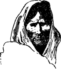 Генри Лонгфелло. Песнь о Гайавате. Уолт Уитмен. Стихотворения и поэмы. Эмили Дикинсон. Стихотворения. - i_065.jpg