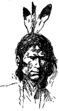 Генри Лонгфелло. Песнь о Гайавате. Уолт Уитмен. Стихотворения и поэмы. Эмили Дикинсон. Стихотворения. - i_072.jpg