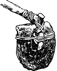 Генри Лонгфелло. Песнь о Гайавате. Уолт Уитмен. Стихотворения и поэмы. Эмили Дикинсон. Стихотворения. - i_076.jpg