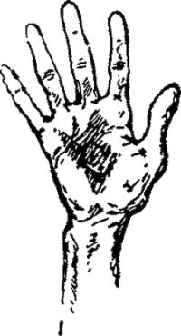 Песнь о Гайавате - i_013.jpg