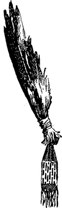 Песнь о Гайавате - i_024.jpg