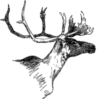 Песнь о Гайавате - i_046.jpg