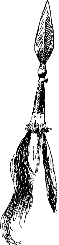 Песнь о Гайавате - i_071.jpg