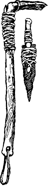 Песнь о Гайавате - i_073.jpg