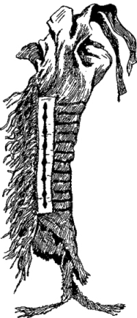 Песнь о Гайавате - i_077.jpg