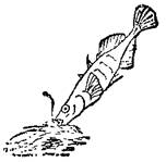 Кольцо царя Соломона - any2fbimgloader13.jpeg