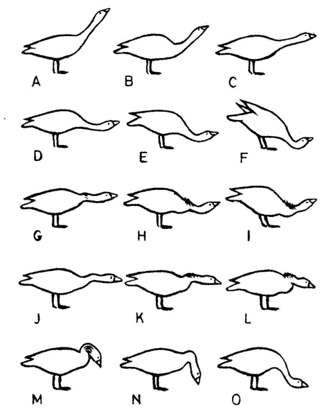 Так называемое зло - i8ba7def490