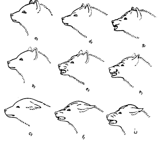 Так называемое зло - ia31df1d1db