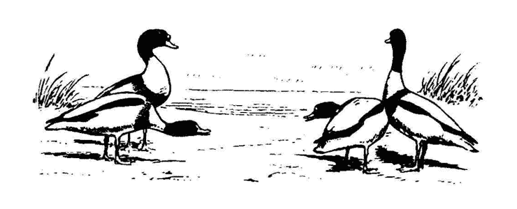 Так называемое зло - ib62668afcf