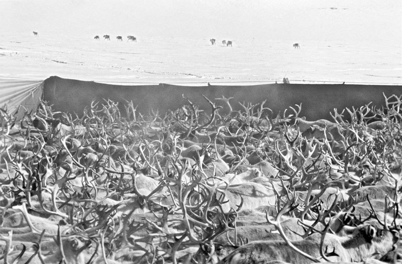 Мои дневники - i_020.jpg