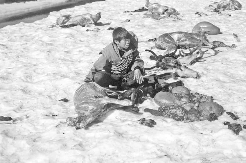 Мои дневники - i_021.jpg