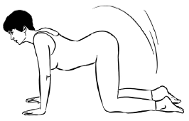 Фитнес-путеводитель для начинающих - i_004.png