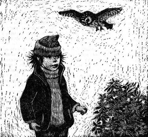 Эльвис Карлссон - i_007.jpg