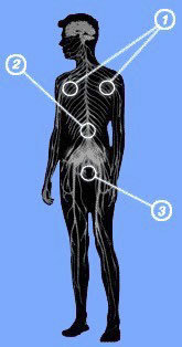 Справочник настоящего мужчины - i_007.jpg