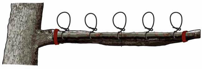 Справочник настоящего мужчины - i_047.jpg