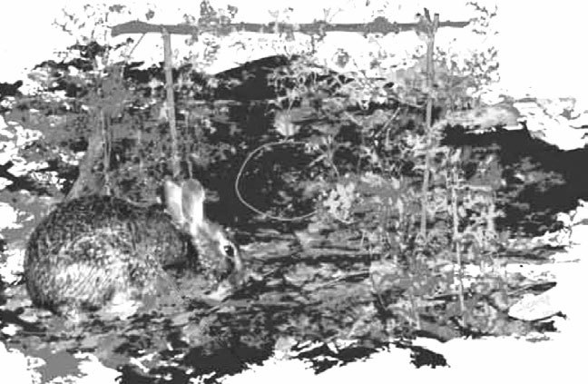 Справочник настоящего мужчины - i_051.jpg