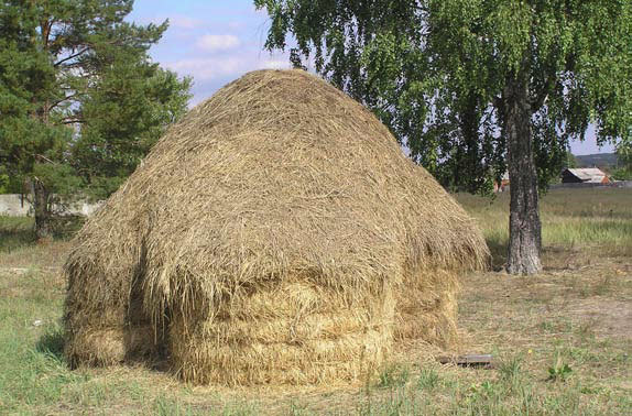 Справочник настоящего мужчины - i_058.jpg