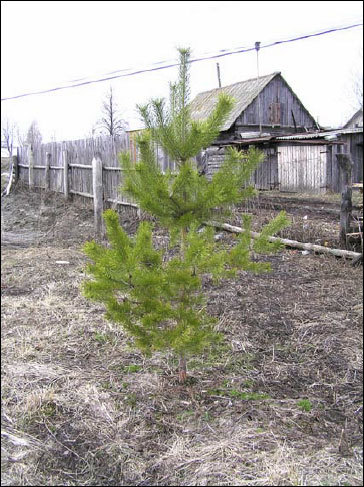 Справочник настоящего мужчины - i_067.jpg