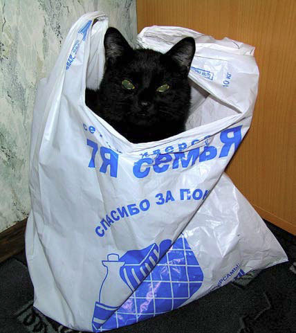 Справочник настоящего мужчины - i_089.jpg