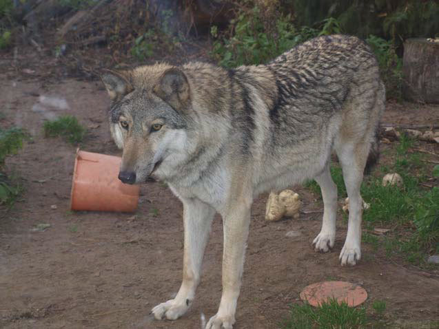 Справочник настоящего мужчины - i_090.jpg