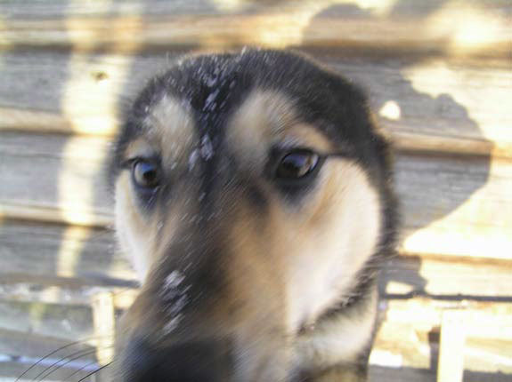 Справочник настоящего мужчины - i_094.jpg