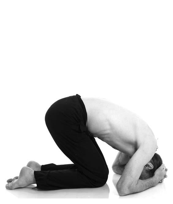 Йога. Для тех, у кого «нет времени». Минимум усилий, максимум результата! - i_045.jpg