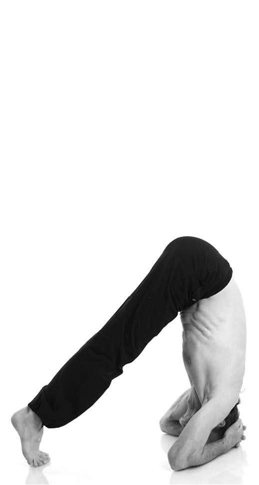 Йога. Для тех, у кого «нет времени». Минимум усилий, максимум результата! - i_046.jpg