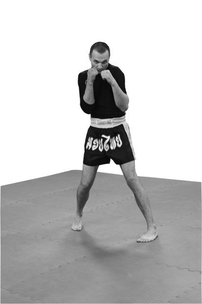 Реальный уличный бой. Книга-ультиматум - i_023.jpg