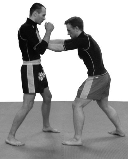 Реальный уличный бой. Книга-ультиматум - i_045.jpg